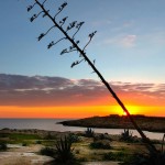 lampedusa foto