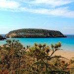 Riserva Naturale "Isola di Lampedusa"