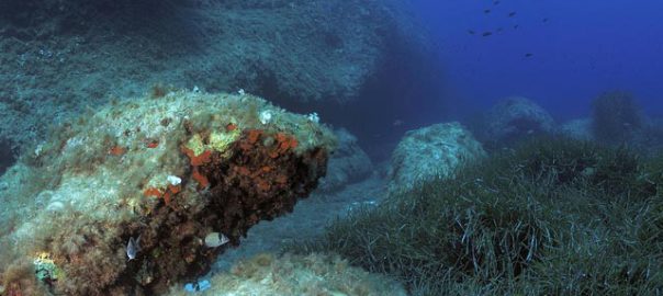 Punta Parrino Lampedusa