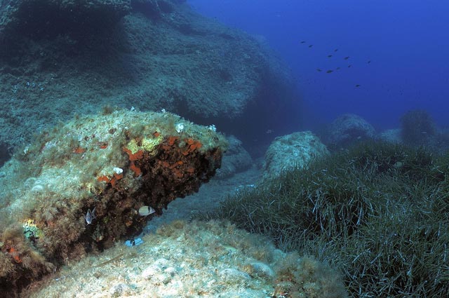 Punta Parrino Lampedusa