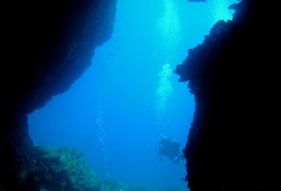 Taccio Vecchio Lampedusa