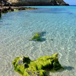 Mare Lampedusa