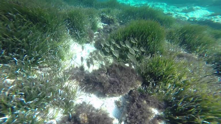 fare snorkeling a lampedusa